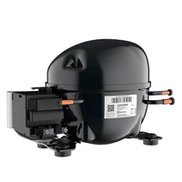 Compressor Electrolux 1/4 220v R134